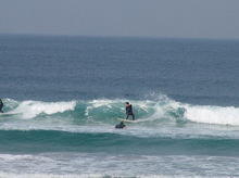 060529surfing01_1