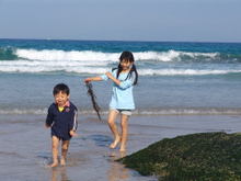 080325beach01_2