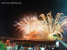 080719fireworks01