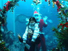 081206aquarium01