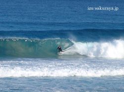 100220surfing01