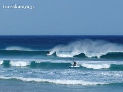 110225surfing01