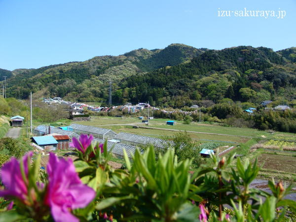 110425koinobori02