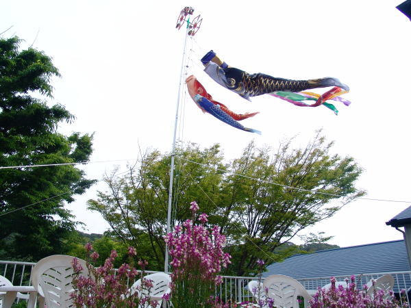 110507koinobori01