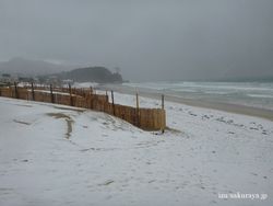 120124hail15