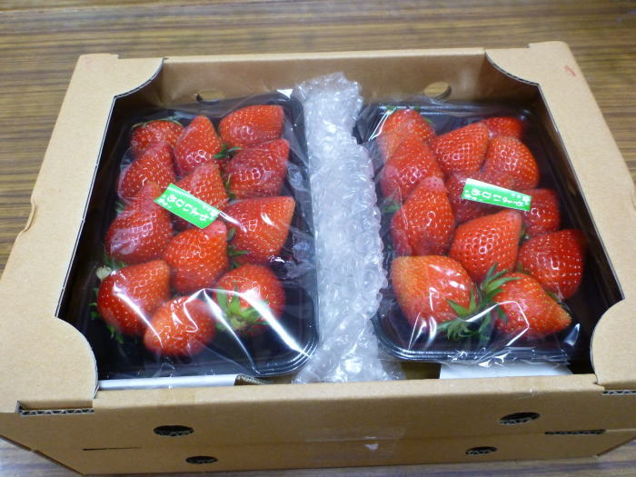 120405strawberry02