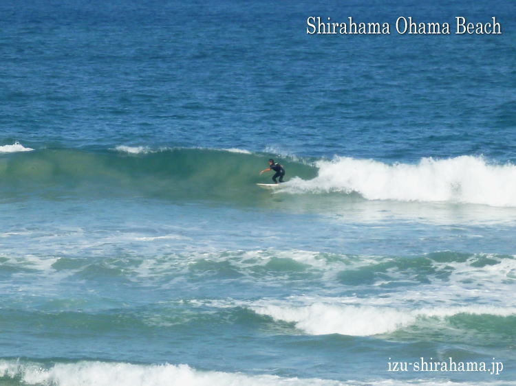 121019surfing00