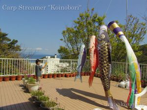 130413koinobori07