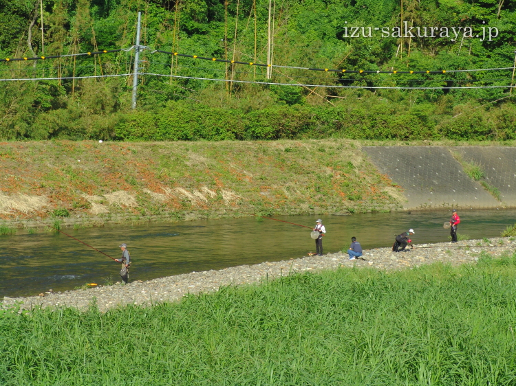 130601fishing02