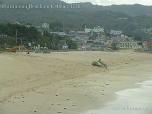 131015beach02