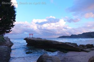 140406shirahama04