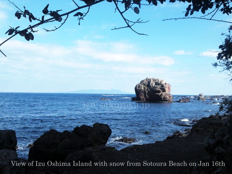 140116oshima02