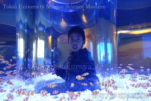 140202aquarium04