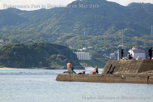 140524fishing03