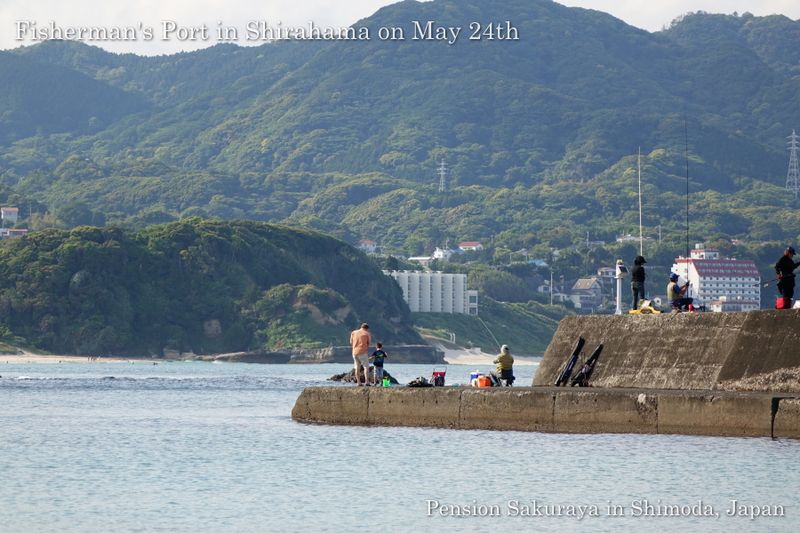 140524fishing03