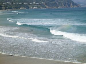 140307beach05
