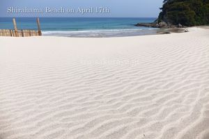 140417beach02