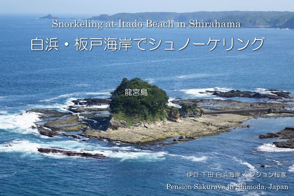 15 05 27 白浜の板戸地区 龍宮島でシュノーケリング ペンション桜家 若旦那の白浜写真日記