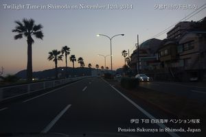 141112shimoda04