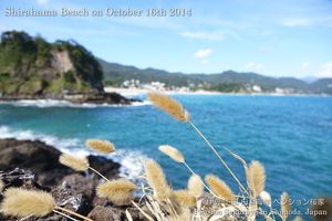 141016beach03a