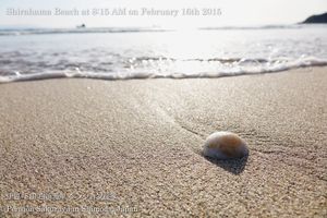 150216beach01