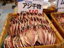 060408fish001_2