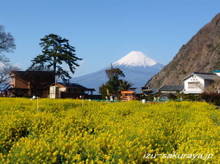 070215mtfuji03_1